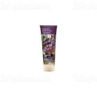 DESERT ESSENCE Shamp raisin rouge T/237ml