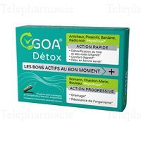 GOA DETOX G&eacute;l B/30