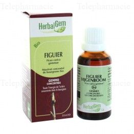 Figuier Mac&eacute;rat bio Fl c-gtt/30ml