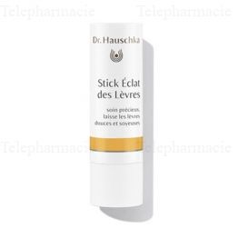 Stick eclat des levres bio 4.9g