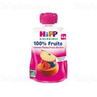 HIPP GOURDE POMMES PECHES FRDB 4/6M 90GR