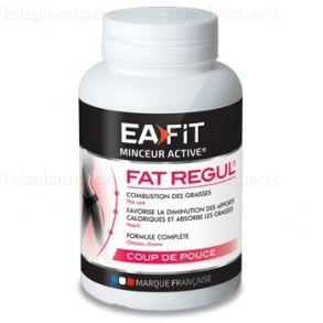 Fat Regul Compl&eacute;ment alimentaire - 90 comprim&eacute;s