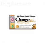 DAYANG Infusion bio orange am&egrave;re 20 sachets