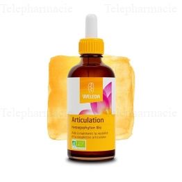 Extrait de plante bio harpagophyton articulation 60ml