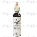 FLEURS DE BACH Original n&deg;03 Beech fleur de bach flacon compte-gouttes 20ml