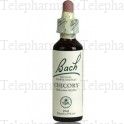 FLEURS DE BACH Original n&deg;08 Chicory fleur de bach flacon compte-gouttes 20ml
