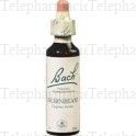 FLEUR DE BACH Original n&deg;17 Hornbeam fleur de bach flacon 20ml