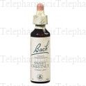 FLEURS DE BACH Original n&deg;30 Sweet chestnut fleurs de bach flacon 20ml