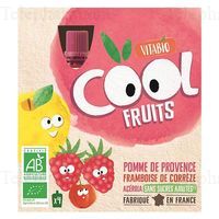 GOURDE COOL FRUITS POMME FRA