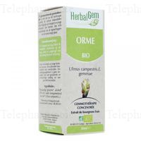 Orme Bourgeons Bio 30ml