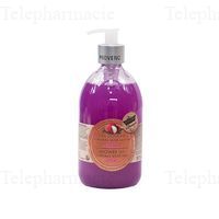 PETITS BAINS PROVENCE GEL DC